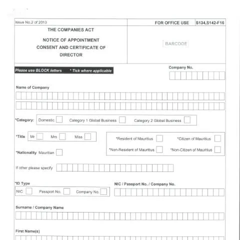 Document preview: Understanding the F16 Form for Director Appointments — Government & admin (F16-1)