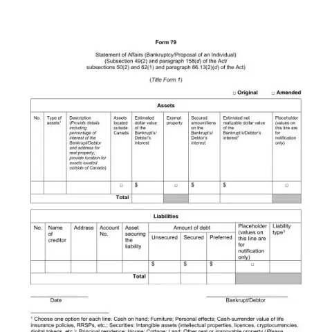Document preview: Understanding Form 79: Individual Bankruptcy Statement of Affairs — Legal & justice (Form 79)
