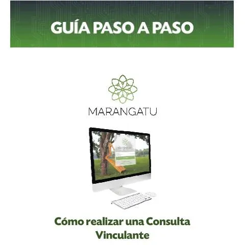 Vista previa del documento Guía paso a paso para realizar consulta vinculante en Paraguay — Trámites administrativos