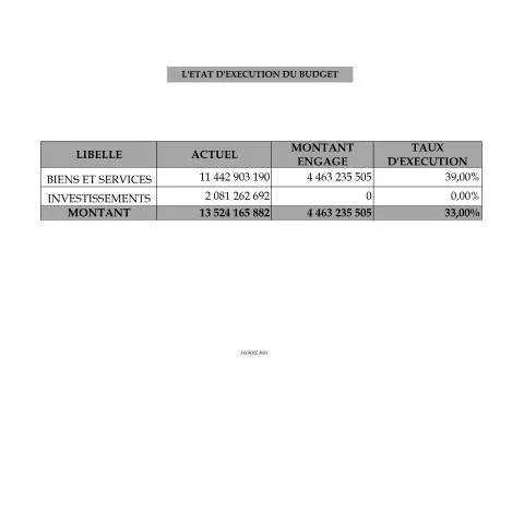 Aperçu du document Analyse de l'État d'Exécution du Budget 2022 en Côte d'Ivoire — Démarches administratives