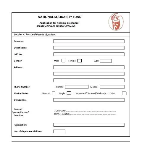 Document preview: Navigating the Repatriation Document for Your Loved Ones — Government & admin (Repatriation)