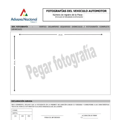 Vista previa del documento Guía del Formulario de Fotografías para el CVA en Bolivia — Vehículo y conducción