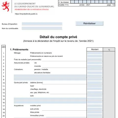 Aperçu du document Comprendre le Détail du Compte Privé pour votre Impôt — Impôts & fiscalité (CERFA n°111c)