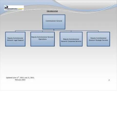 Document preview: Jamaica Revenue Service Division Breakdown Chart — Government & admin (CERFA n°Division_Breakout_2)