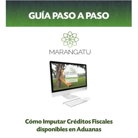 Vista previa del documento Procedimiento para imputar créditos fiscales en Aduanas Paraguay — Impuestos