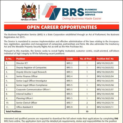 Document preview: Unlock Your Future with BRS Career Opportunities — Government & admin (CERFA n°BRS_career-opportunities-1)