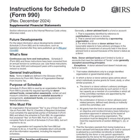 Document preview: Understanding IRS Instructions for Schedule D (Form 990) — Taxes (CERFA n°INST-990SD)
