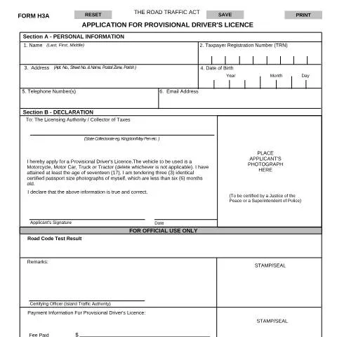 Document preview: Understanding the Provisional Driver's License Application Process in — Vehicle & driving (CERFA n°provisional+drivers+licence_+efillable23012020)