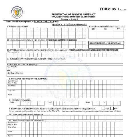 Document preview: Essential Guide to Form BN1 for Business Name Renewal — Government & admin (CERFA n°bn1 rev 1.2011)