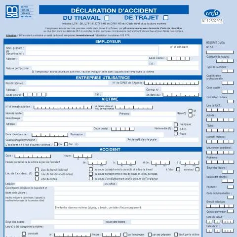 Aperçu du document Comment déclarer un accident du travail en agriculture — Démarches administratives (CERFA n°12502*03)