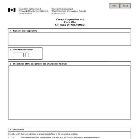 Document preview: Guide to Filing Articles of Amendment (Form 3004) with ISED-ISDE — Government & admin (Form 3004)