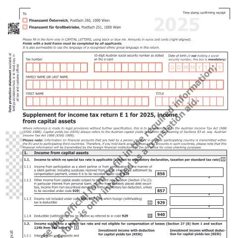Dokumentvorschau: E1kv-EN: Wichtige Informationen zur Einkommensteuer 2025 — Steuern (E1kv-EN)