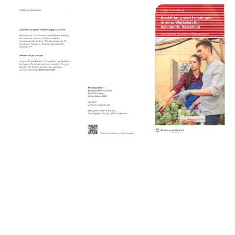 Dokumentvorschau: Perspektiven für Menschen mit Behinderungen im Ausbildungsbereich — Bildung & Ausbildung (CERFA n°budget-fuer-ausbildung-flyer_ba038174)
