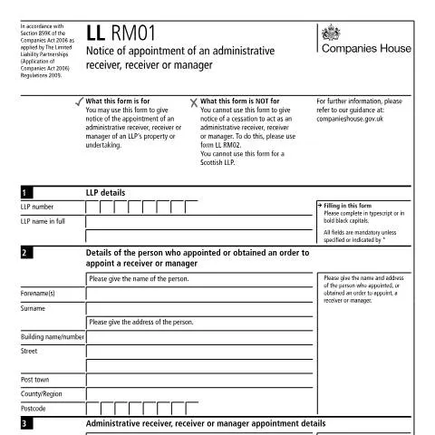 Document preview: Understanding the LL RM01 Appointment Process for LLPs — Business