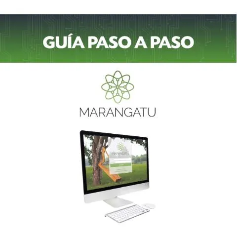 Vista previa del documento Guía paso a paso para inscribir el RUC de Personas Físicas en Paraguay — Impuestos