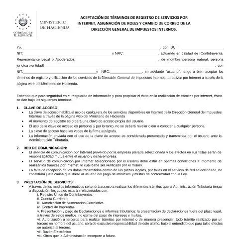 Vista previa del documento Aceptación de Términos para Servicios en Línea de la DGII — Impuestos (CERFA n°PMHDC8209)
