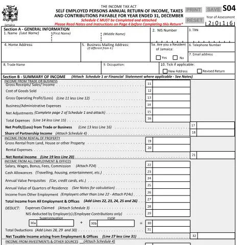 Document preview: Understanding the S04 and Sche 21032017 Form in Jamaica — Government & admin (CERFA n°S04_and_Sche_+21032017)
