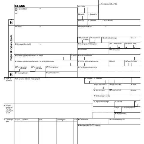 Document preview: Skref í innflutningi: SAD-E2.3-6 skýrslan — Tollur & innflutningur