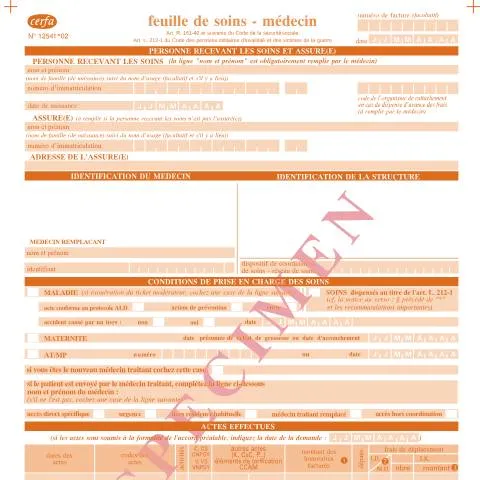 Aperçu du document Comprendre la feuille de soins médecin : votre sésame remboursement — Santé (CERFA n°12541*02)