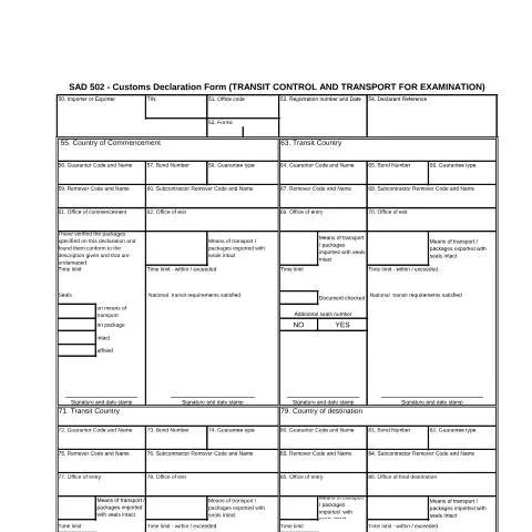 Document preview: Understanding the SAD 502 Customs Declaration Form — Government & admin (CERFA n°SAD 502)