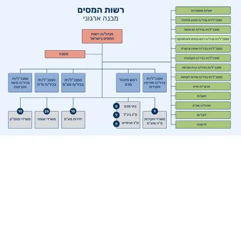 Document preview: מדריך להגשת טופס לרשות המסים בישראל — Taxes (CERFA n°about_structure-misim-170821)