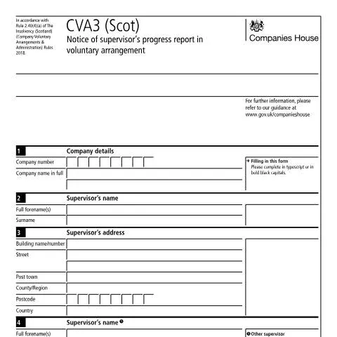 Document preview: Navigating the CVA3 (Scot) for Effective Company Management — Business