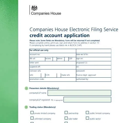Document preview: Electronic Filing Service: Your Gateway to Digital Company — Business