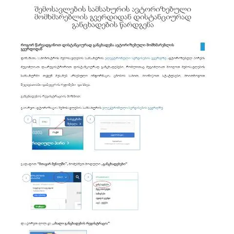 Document preview: როგორ უნდა წარადგინოთ განაცხადი ონლაინ საქართველოში? — ბაჟები და გადასახადები
