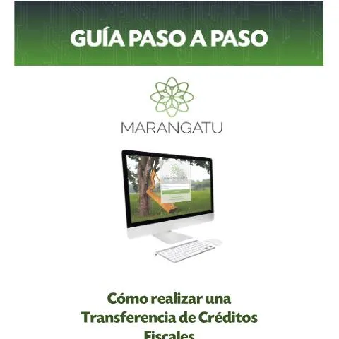 Vista previa del documento Transferencia de créditos fiscales en Paraguay paso a paso — Impuestos
