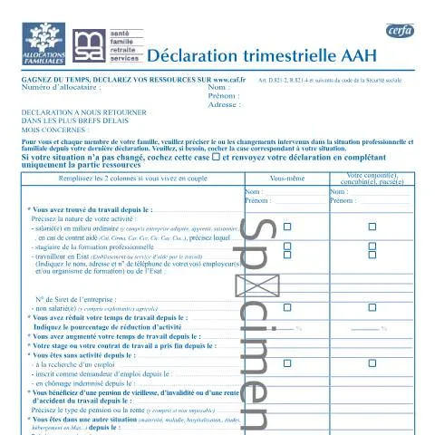 Aperçu du document Formulaire 14208*01 : votre déclaration AAH trimestrielle expliquée — Santé (CERFA n°14208*01)