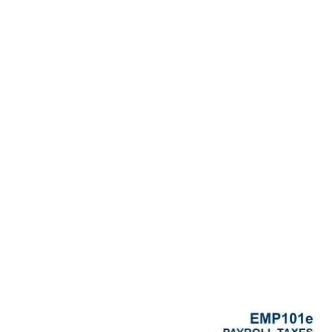 Document preview: Navigating the EMP101e Application for Employers in South Africa — Government & admin (CERFA n°EMP101e)