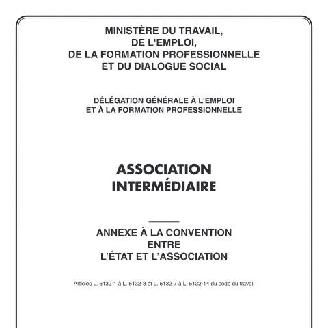 Aperçu du document Dispositif de soutien financier aux associations intermédiaires — Démarches administratives (CERFA n°12608*03)