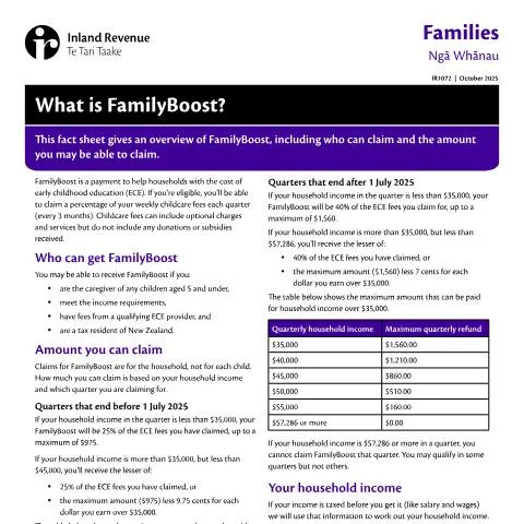 Document preview: FamilyBoost: A Financial Support for Early Childhood Education — Family (CERFA n°IR1072)