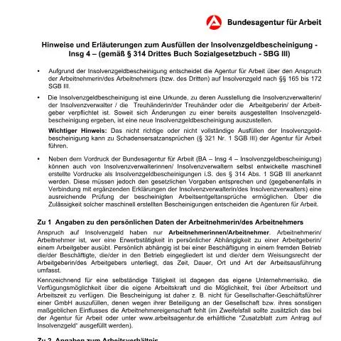 Dokumentvorschau: Wichtige Informationen zur Insolvenzgeldbescheinigung — Behörden & Verwaltung (CERFA n°dok_ba031790)