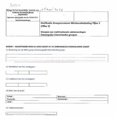 Aperçu du document Comprendre le Notificatieformulier pour les groupes d'entreprises — Démarches administratives (CERFA n°169-pillar-2-visueel-formulier-notificatie-groepsnummer)