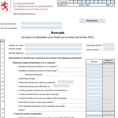 Aperçu du document L'Annexe 153 : Essentielle pour les Avocats au Luxembourg — Démarches administratives (CERFA n°153)