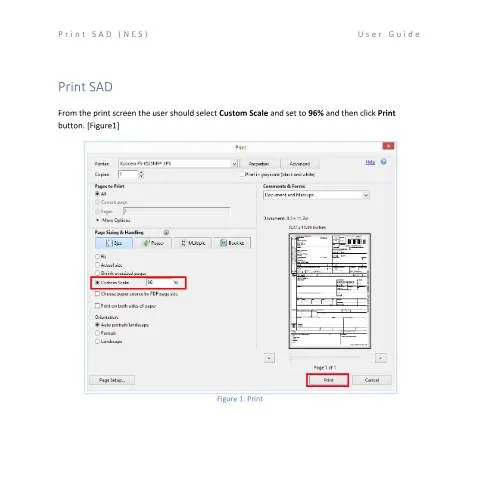 Document preview: Essential Guide to the NCTS - P5 Form for Customs in Malta — Customs & trade (CERFA n°click)