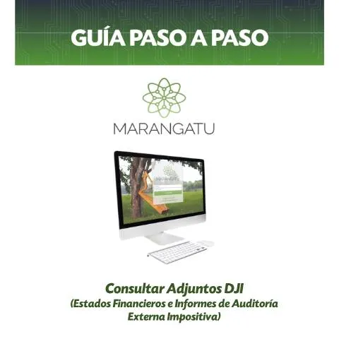 Vista previa del documento Cómo consultar adjuntos de declaraciones juradas en Paraguay — Impuestos