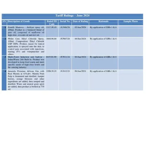 Document preview: Essential Insights on the June 2024 Document Submission — Government & admin (CERFA n°TRJune2024)