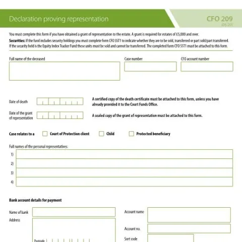 Document preview: Understanding the Declaration Proving Representation in Estate — Government & admin (CFO 209)