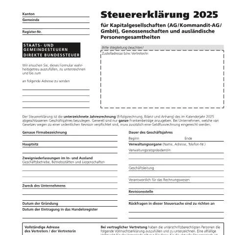 Dokumentvorschau: Steuererklärung für Kapitalgesellschaften 2025 — Steuern (5)