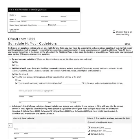 Document preview: Understanding Official Form 106H: Schedule H , Your Codebtors — Legal & justice (106H)
