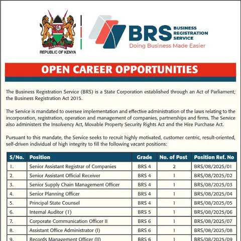 Document preview: Your Guide to Open Career Opportunities 2025 in Kenya — Work & employment (CERFA n°OPEN-CAREER-OPPORTUNITIES-2025)