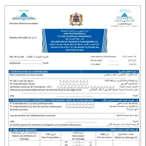 Aperçu du document Procédure de déclaration d'inactivité de l'entreprise au Maroc — Impôts & fiscalité (CERFA n°ADC180B-12I)