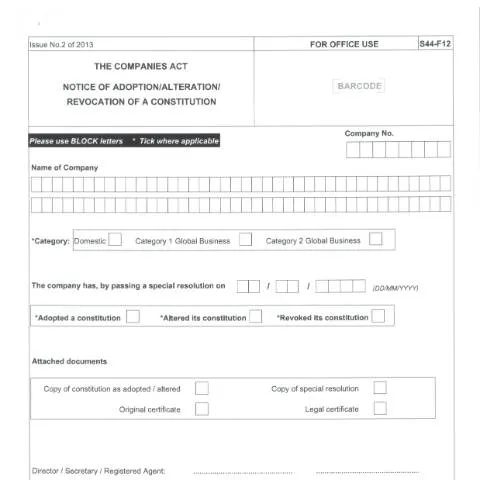 Document preview: Understanding the F12 Document in Mauritius — Government & admin (F12-1)