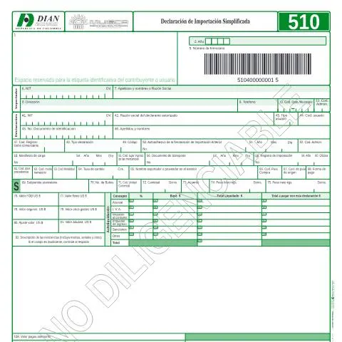 Vista previa del documento Guía para el Formulario F510-2004 de Importación Simplificada — Aduanas y comercio (CERFA n°F510-2004)