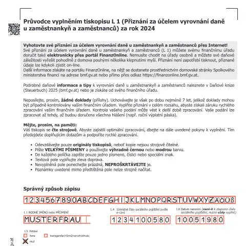Dokumentvorschau: Leitfaden zum L2-CZ Formular für das Jahr 2024 — Behörden & Verwaltung (CERFA n°L2-CZ)
