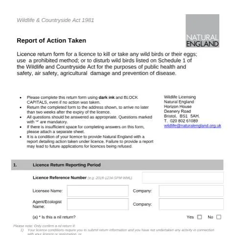 Document preview: Wildlife Licence A08 A09 Reporting: Legal Requirements Explained — Government & admin