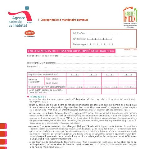 Aperçu du document Obligations contractuelles du bailleur subventionné par l'Anah — Immobilier & foncier (CERFA n°13458*04)