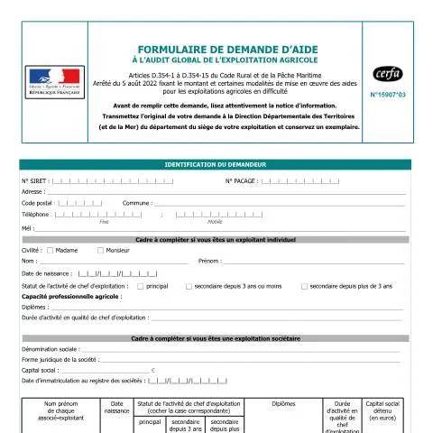 Aperçu du document Aide à l'audit global d'exploitation agricole : optimisez vos — Démarches administratives (CERFA n°15907*03)